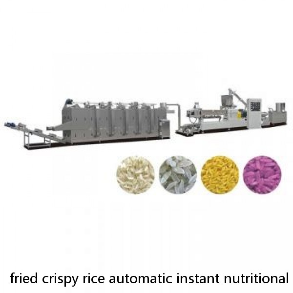 fried crispy rice automatic instant nutritional rice making machine artificial rice making machine