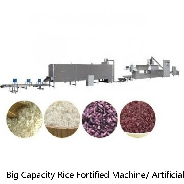 Big Capacity Rice Fortified Machine/ Artificial Nutrition Rice Making Machine Extruder/ Reconstituted Rice Processing Line