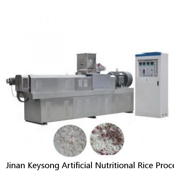 Jinan Keysong Artificial Nutritional Rice Processing Line