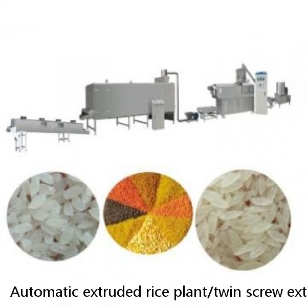 Automatic extruded rice plant/twin screw extruding nutritional rice making machinery/reshaped rice production line